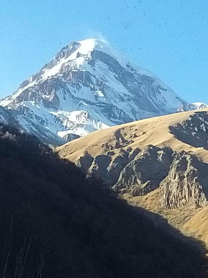 Emotion Kazbegi Apartment Exterior photo