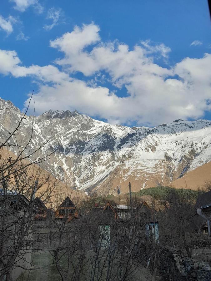 Emotion Kazbegi Apartment Exterior photo