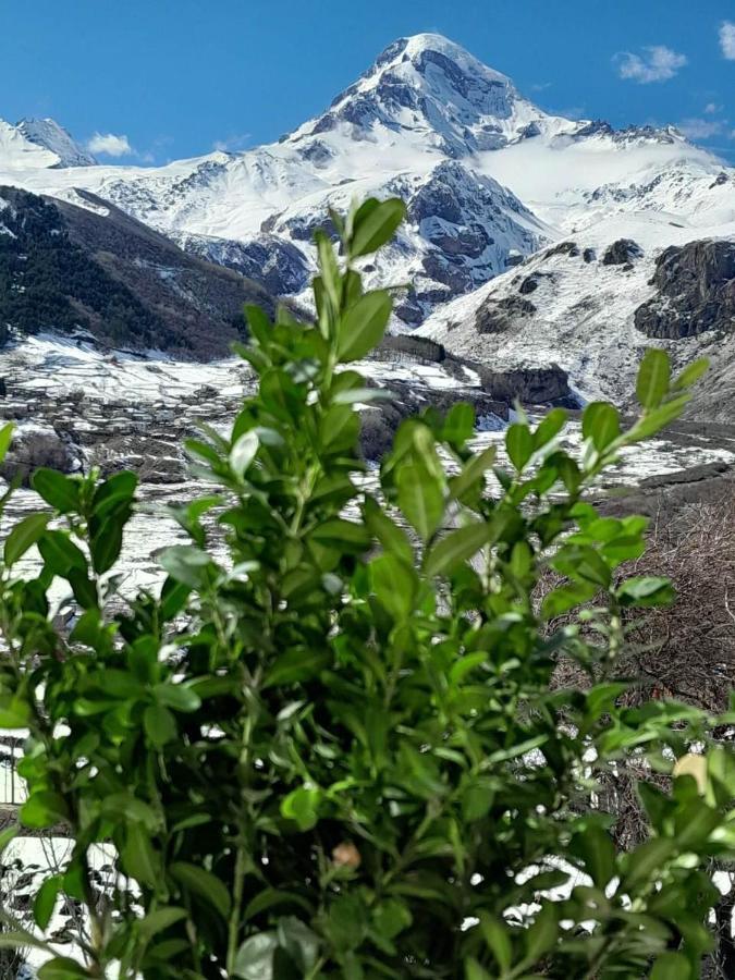 Emotion Kazbegi Apartment Exterior photo