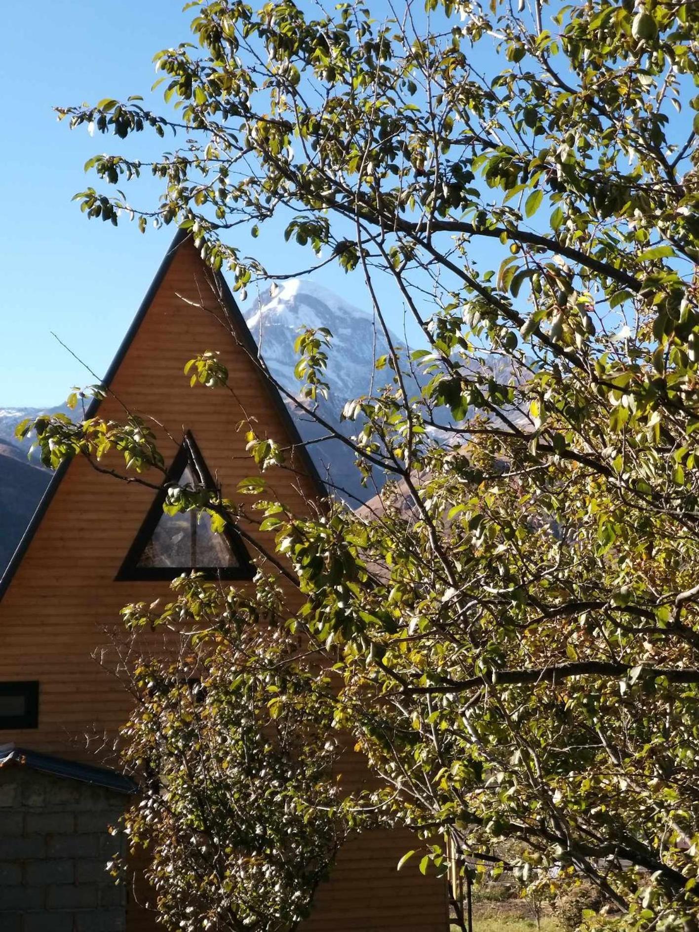 Emotion Kazbegi Apartment Exterior photo