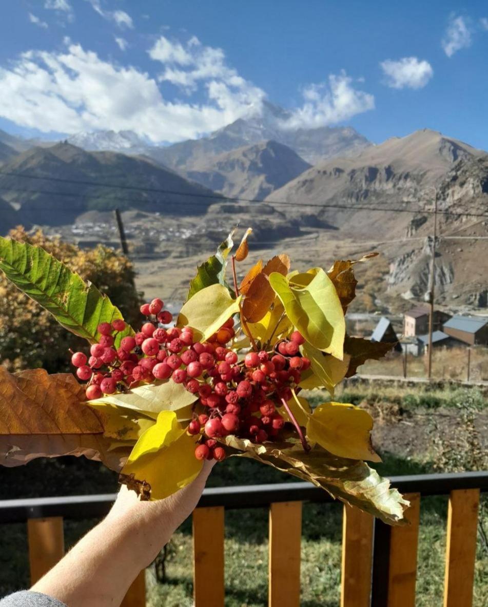 Emotion Kazbegi Apartment Room photo