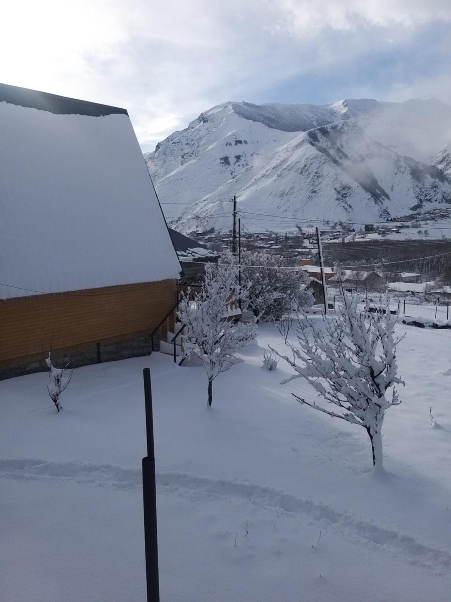 Emotion Kazbegi Apartment Room photo