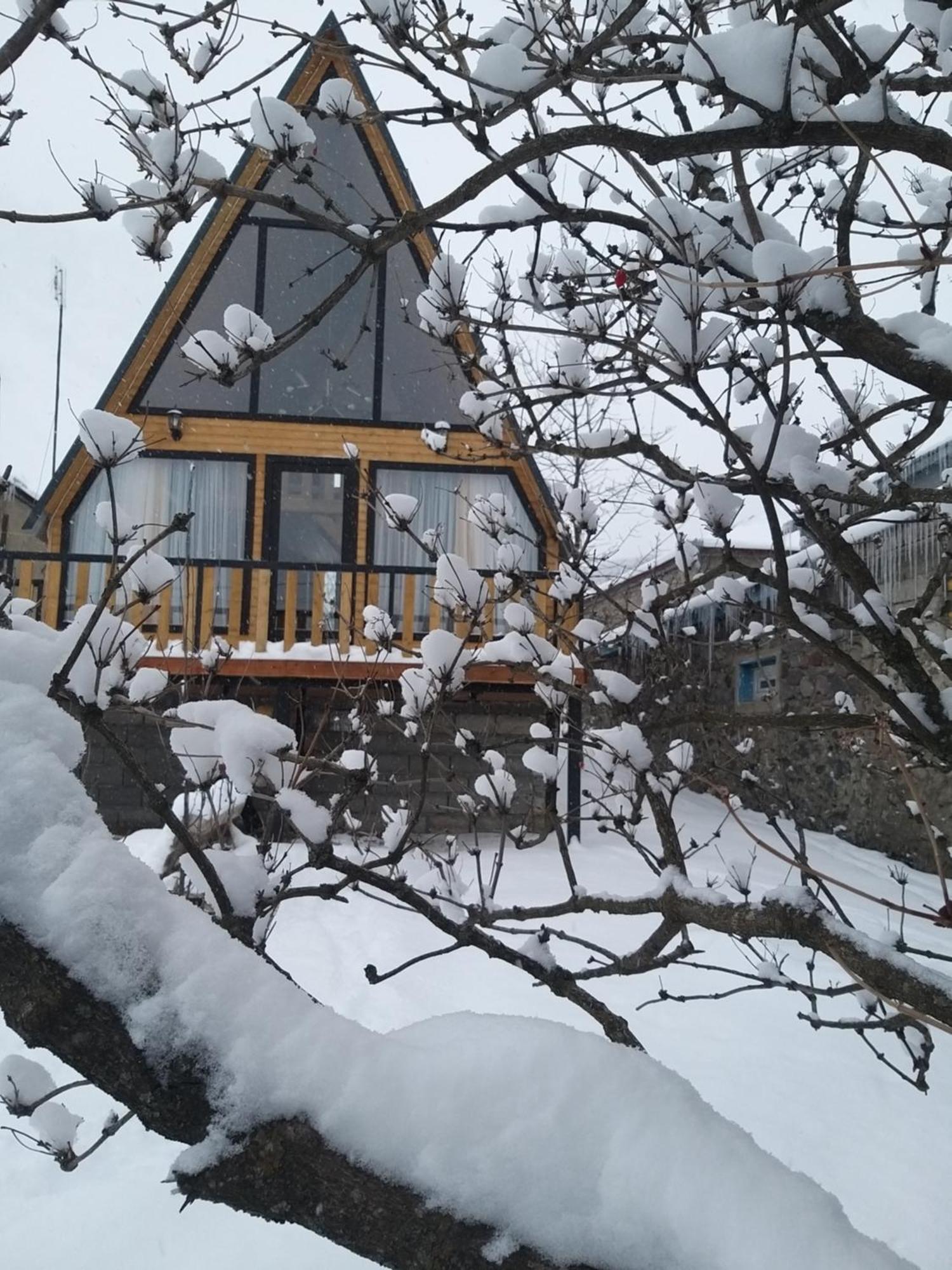 Emotion Kazbegi Apartment Room photo