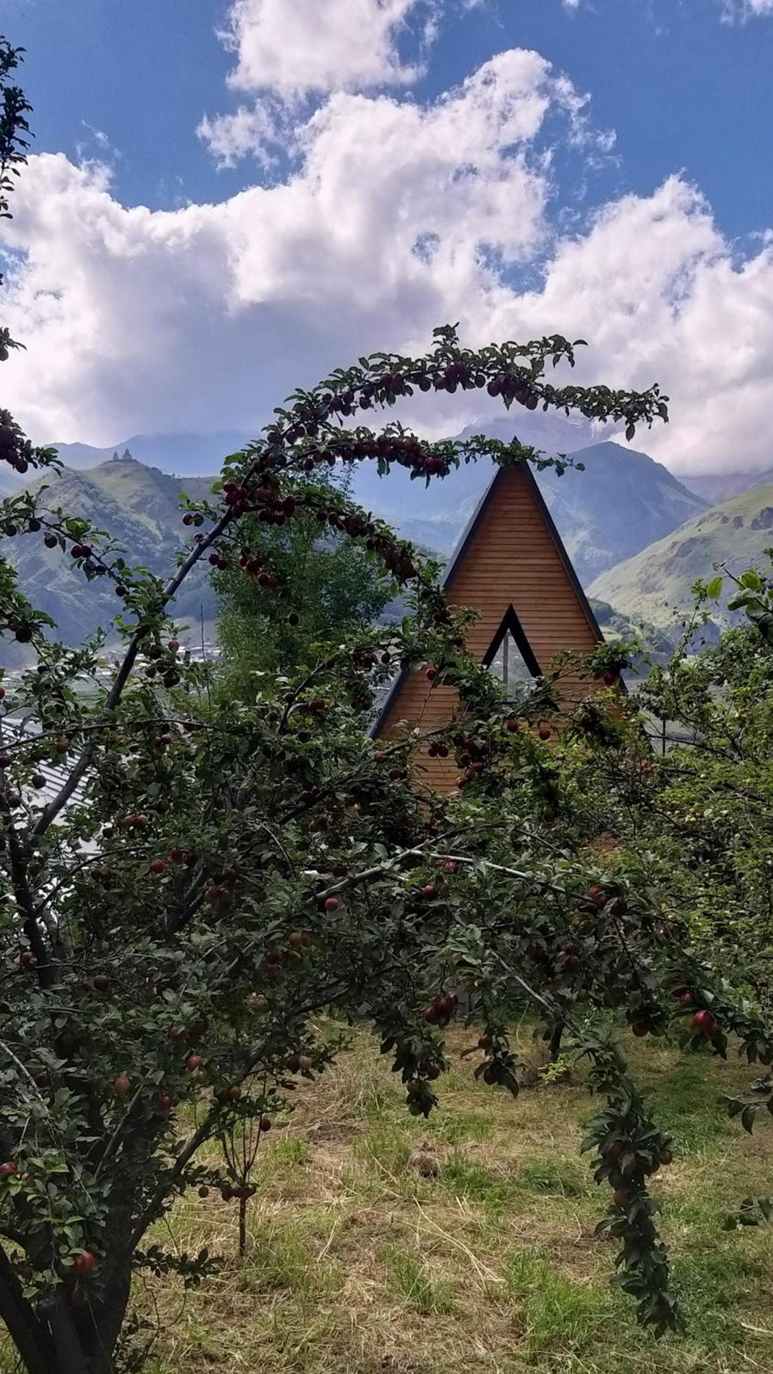 Emotion Kazbegi Apartment Exterior photo